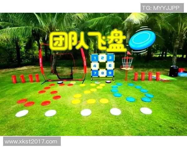飞盘竞技之美：深入分析重庆飞盘队员的个人技能与团队协作